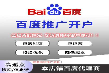信息流广告的精准定位与效果优化案例分析